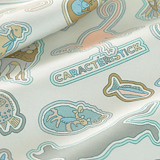 Caracteristick Detail scarf 45 | Hermès USA